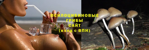стаф Пролетарск