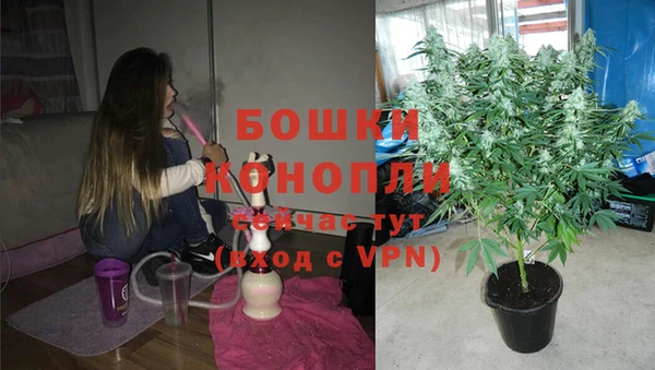 стаф Пролетарск