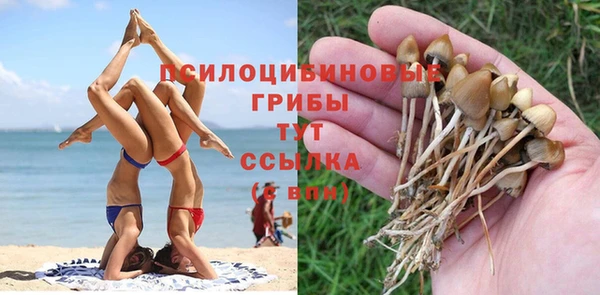 MDMA Протвино