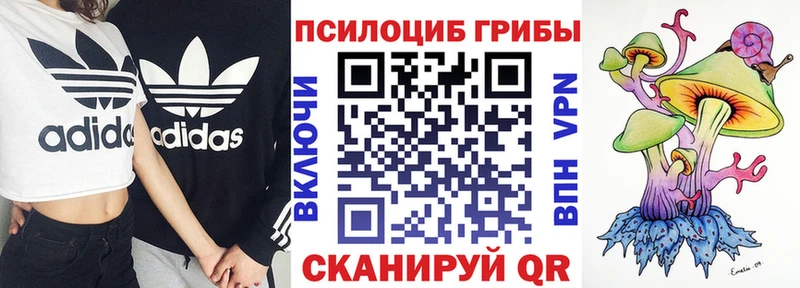 Галлюциногенные грибы мицелий Тетюши